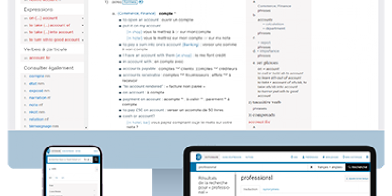Montage écran illustrant les trois formats (redimensionnement des informations à l’écran).